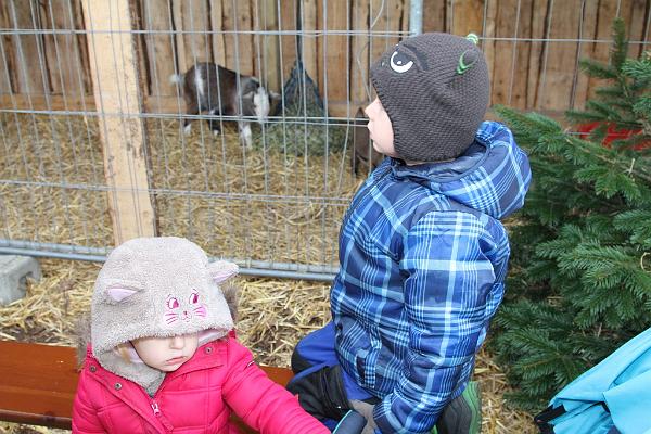 2015-12-20 13-15-40.JPG
